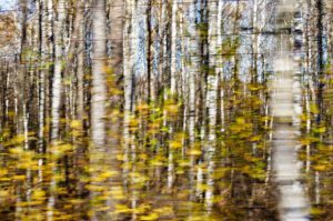 Lviv‑Kiev arası saatlik tren seferi – Ukrzaliznytsya