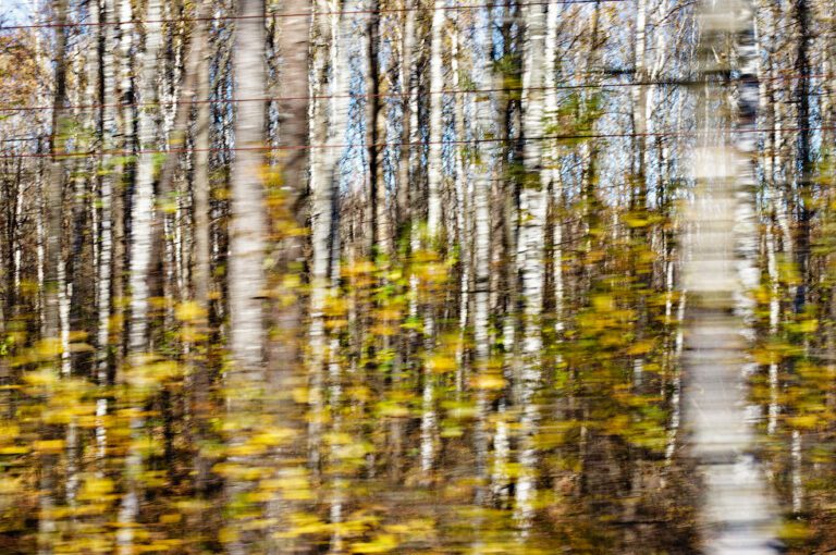 Lviv‑Kiev arası saatlik tren seferi – Ukrzaliznytsya