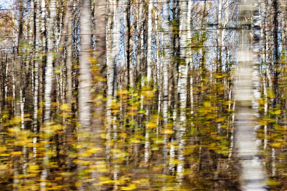 Lviv‑Kiev arası saatlik tren seferi – Ukrzaliznytsya