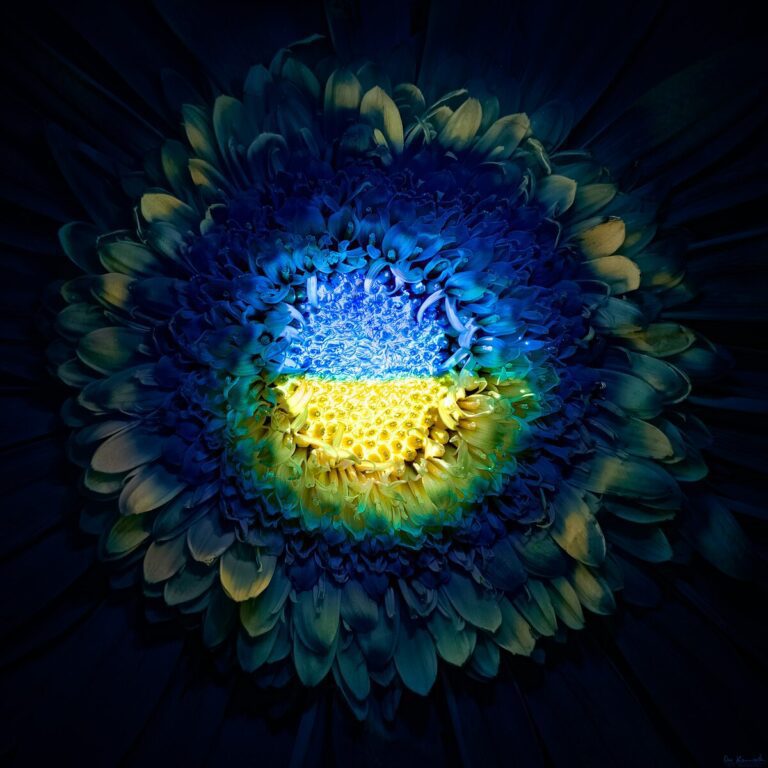 Ukrayna Siyaseti: Putin’in Barış Anlaşması Serap Oldu