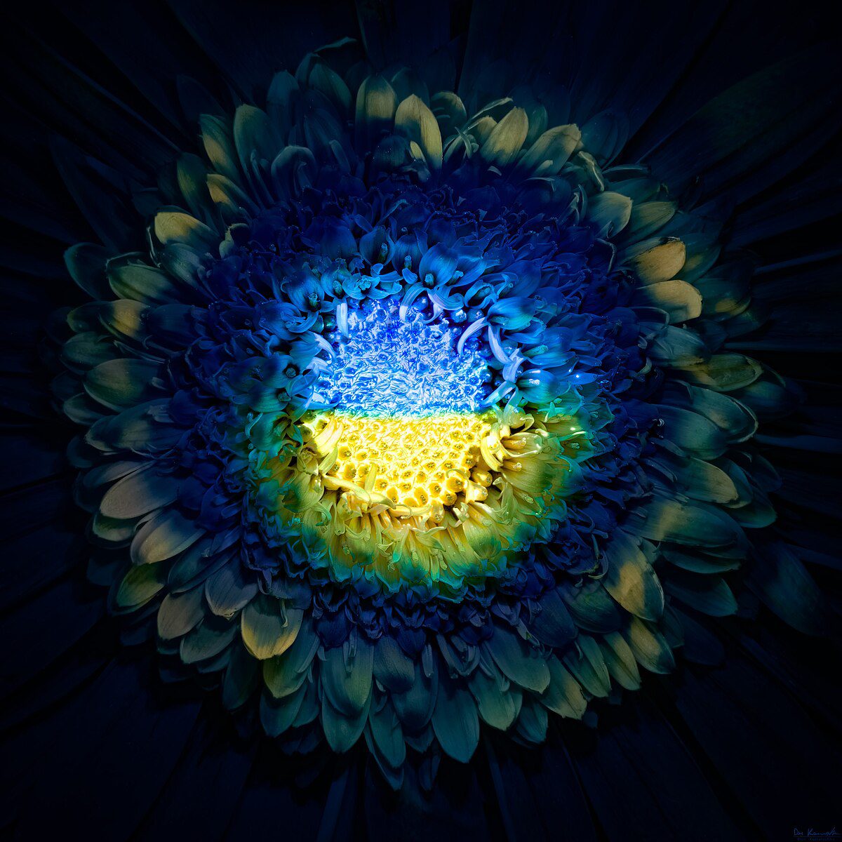 Ukrayna Siyaseti: Putin’in Barış Anlaşması Serap Oldu