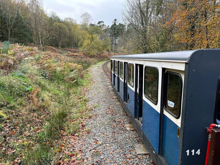 Odesa ve Kiev’den Kişi’ye Ek Vagonlar: Biletler 20 Aralık’ta