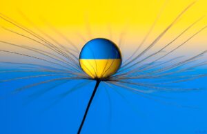 Starmer ve Trump Ukrayna Savaşının Sonlanmasını Görüştü