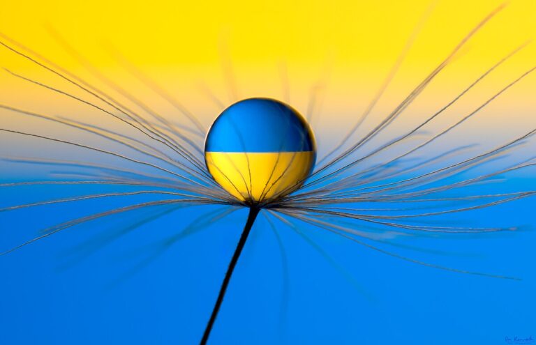 Starmer ve Trump Ukrayna Savaşının Sonlanmasını Görüştü