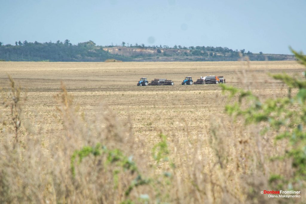 Ukrayna 60 Ton Tahıl Hasadı, Fransa ve Almanya'dan Geride
