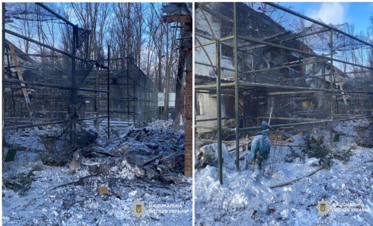Harkiv Zoo’da Rusya Bombardı: Kuşlar ve Aslanlar Yaralandı