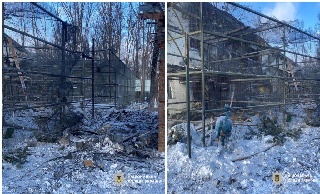 Harkiv Zoo’da Rusya Bombardı: Kuşlar ve Aslanlar Yaralandı