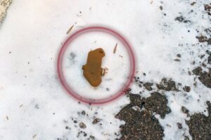 Kherson hastanesinde Rus mayın saldırısı – Güvenlik Uyarısı